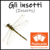 Insects Flash Cards x 28 - Full Set